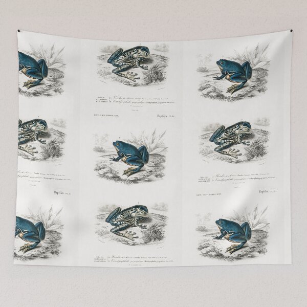 Artikelvorschau, Frog species vintage illustration entworfen und verkauft von Vintage Designs +.