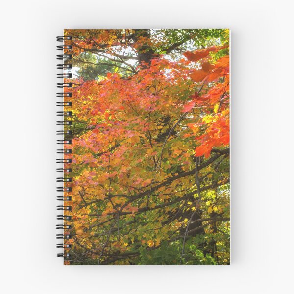 Item preview, Autumn Colours - MacKenzie-King Estate designed and sold by Yannik Hay.