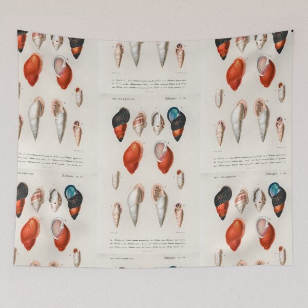 Item preview, Shell species vintage illustration  designed and sold by Vintage Designs +.