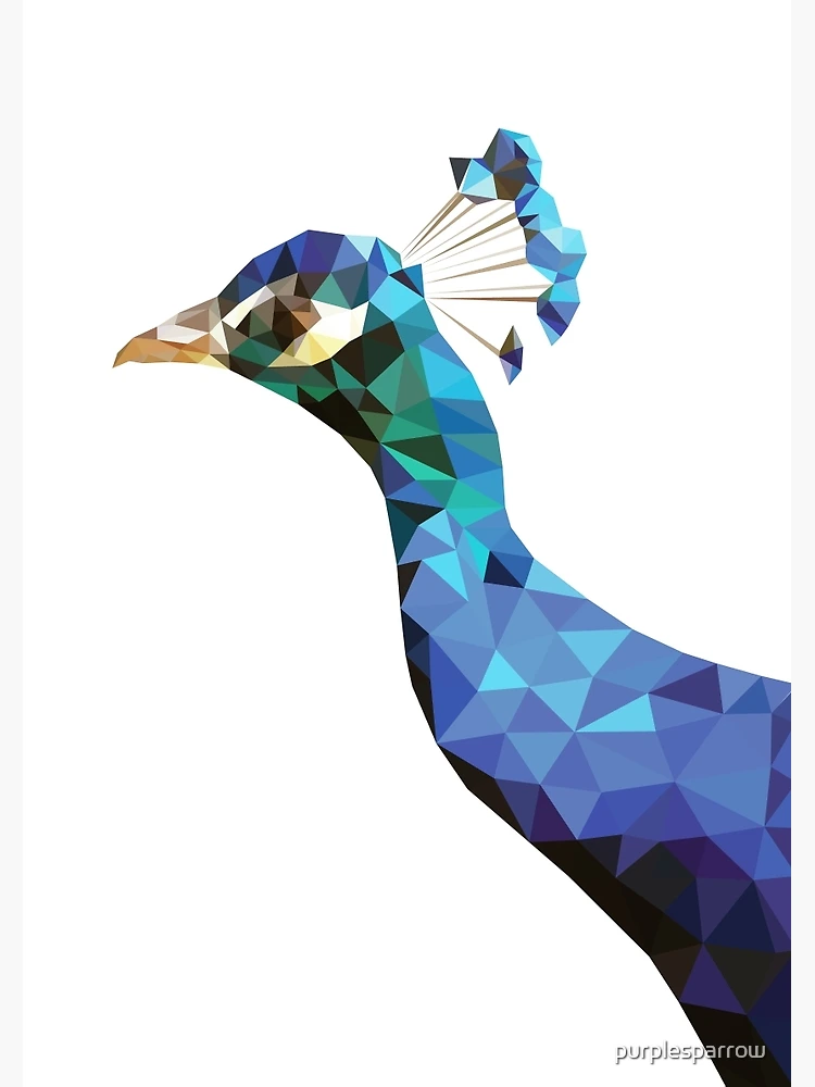 Modern geometric peacock