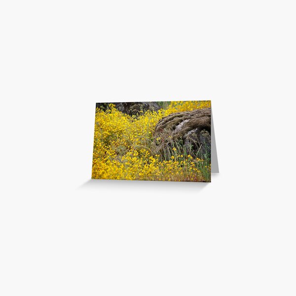 Yellow River Greeting Card