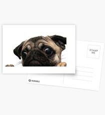 Besorgt Mops Postkarten