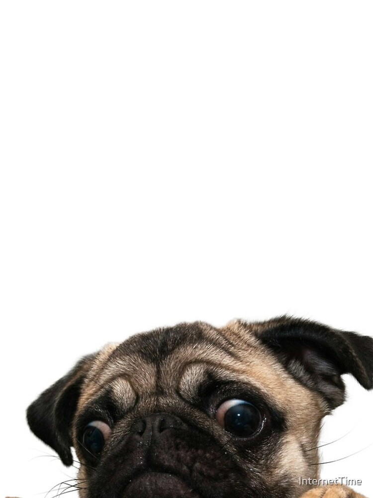 Worried Pug by InternetTime
