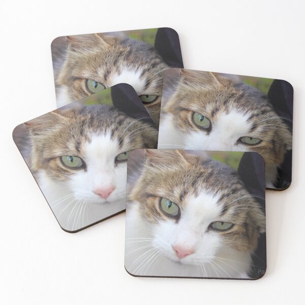Item preview, Friendly Cat designed and sold by paulbeecham.