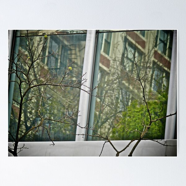 Item preview, Reflections Behind The Branches - Portland - Oregon designed and sold by Jack McCabe.