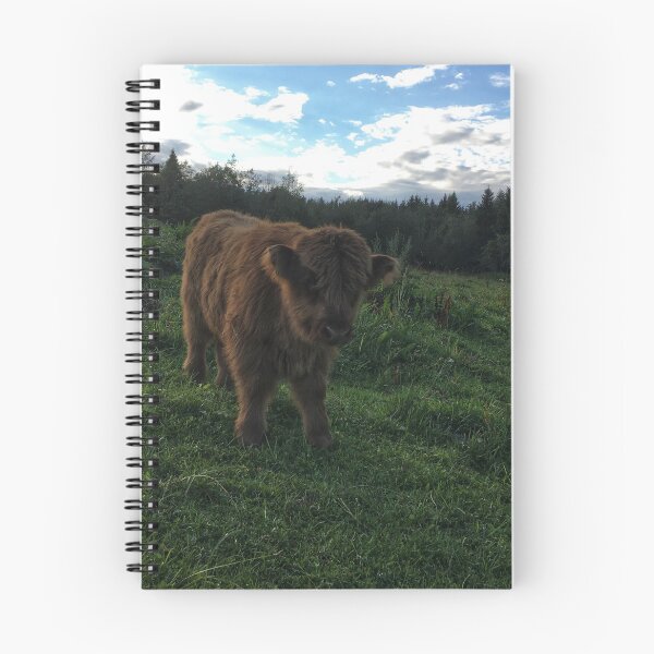 Item preview, Scottish Highland Cattle Calf 1806 designed and sold by SaarelaHighland.