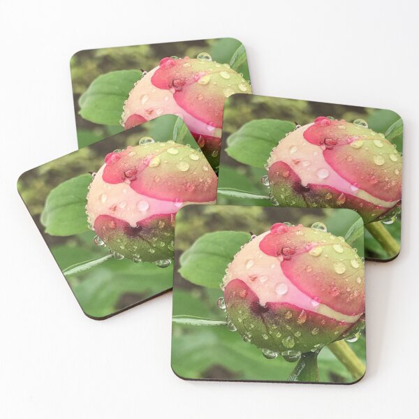 Item preview, Raindrops on a Pink Peony Bud designed and sold by DebbiesDroplets.