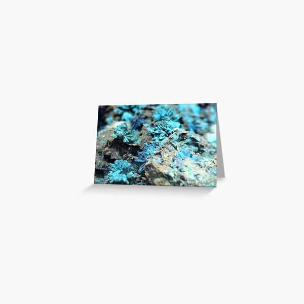 The Hidden Land – The Reef Greeting Card