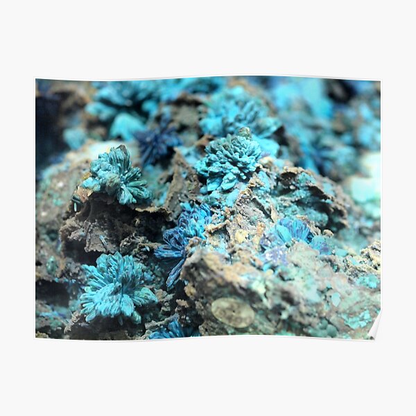 The Hidden Land – The Reef Poster