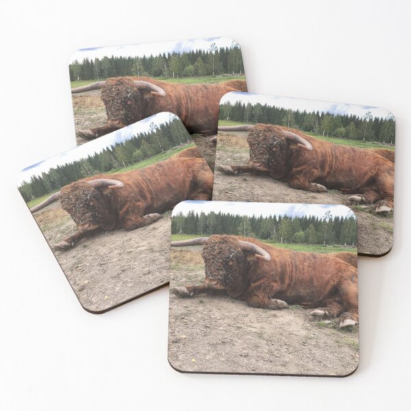 Item preview, Scottish Highland Cattle Bull 1809 designed and sold by SaarelaHighland.