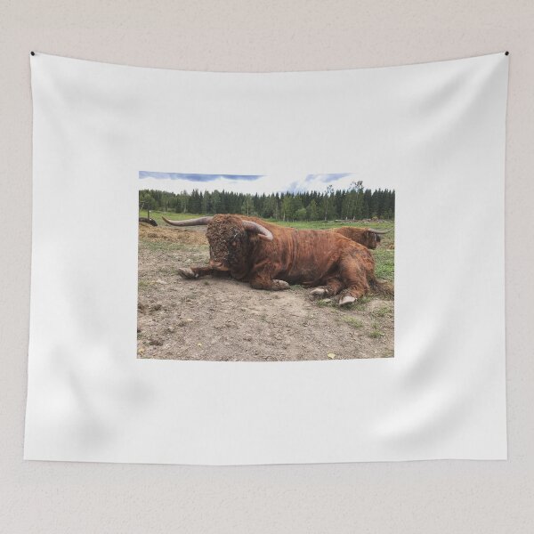 Item preview, Scottish Highland Cattle Bull 1809 designed and sold by SaarelaHighland.