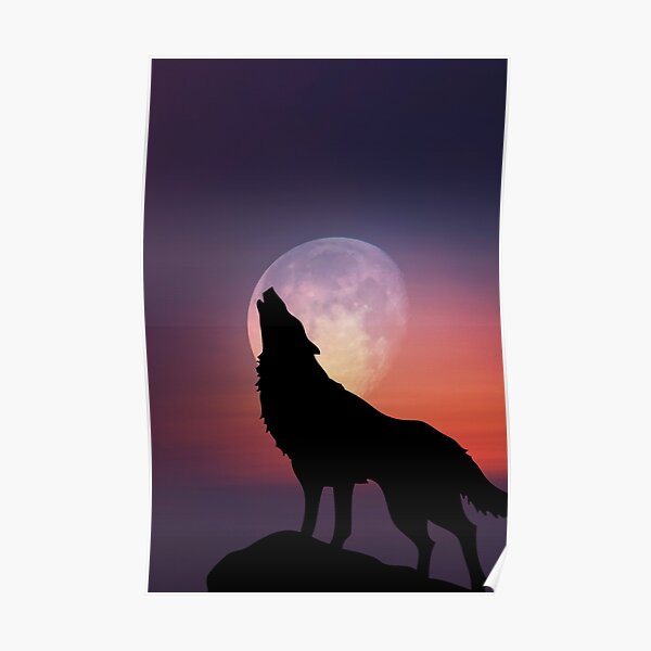 Wolf Howling at the Moon Poster