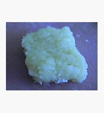 Mashed Garlic Photographic Print