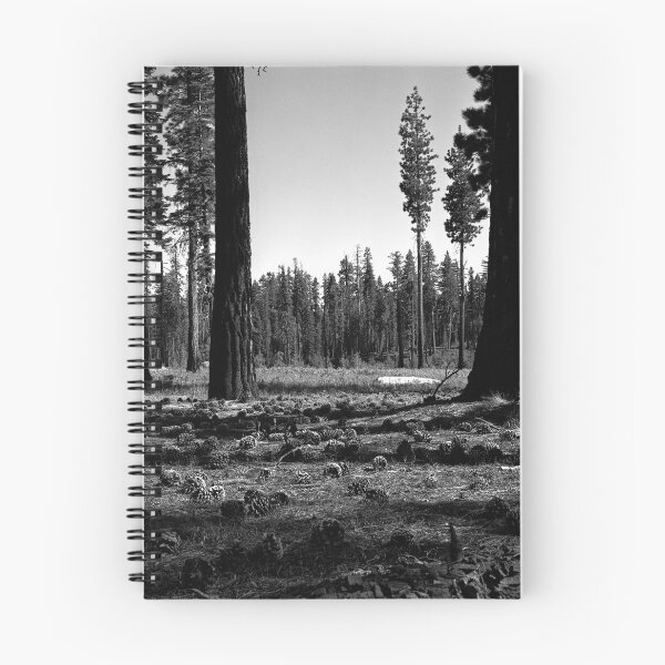 Item preview, Near Hetch-Hetchy in Yosemite N.P.  designed and sold by Rodney Johnson.