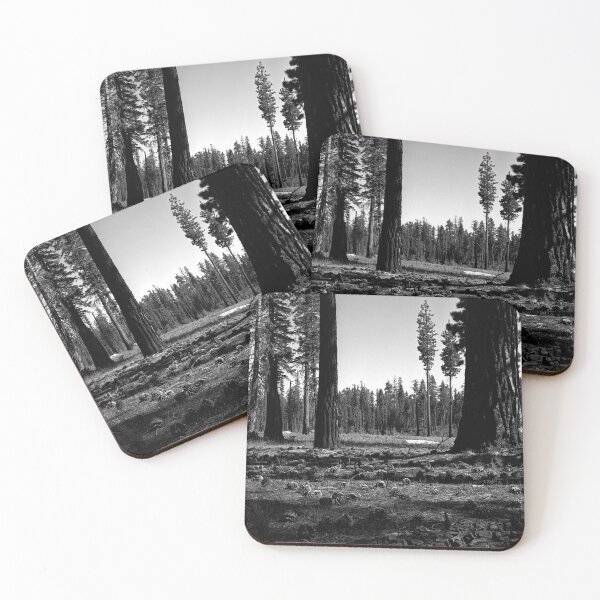 Item preview, Near Hetch-Hetchy in Yosemite N.P.  designed and sold by Rodney Johnson.