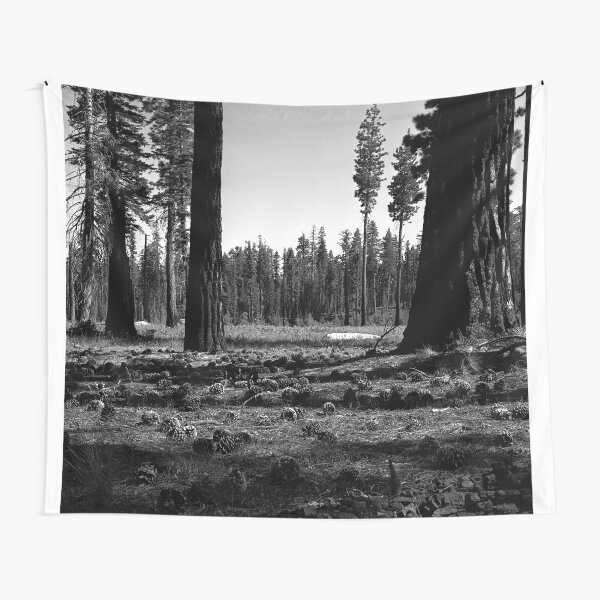 Near Hetch-Hetchy in Yosemite N.P. Tapestry