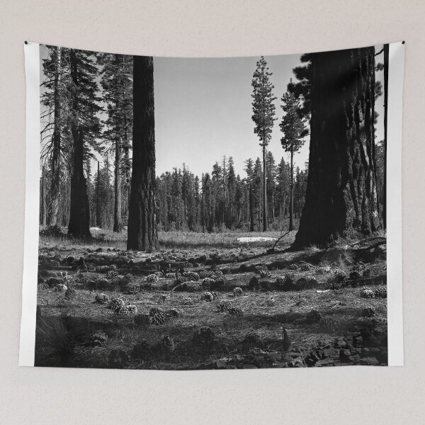 Item preview, Near Hetch-Hetchy in Yosemite N.P.  designed and sold by Rodney Johnson.
