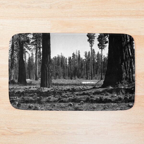 Item preview, Near Hetch-Hetchy in Yosemite N.P.  designed and sold by Rodney Johnson.