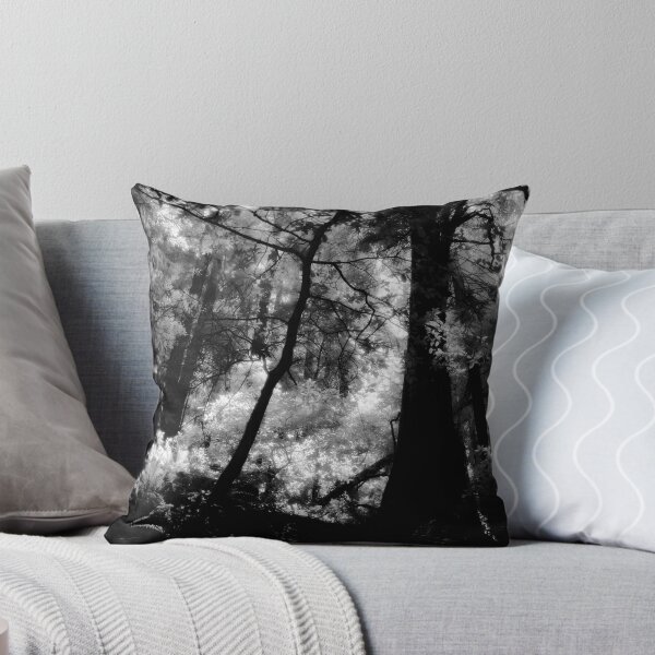 Item preview, Hillside Trail, Muir Woods National Monument  designed and sold by Rodney Johnson.
