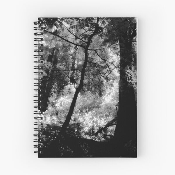 Item preview, Hillside Trail, Muir Woods National Monument  designed and sold by Rodney Johnson.