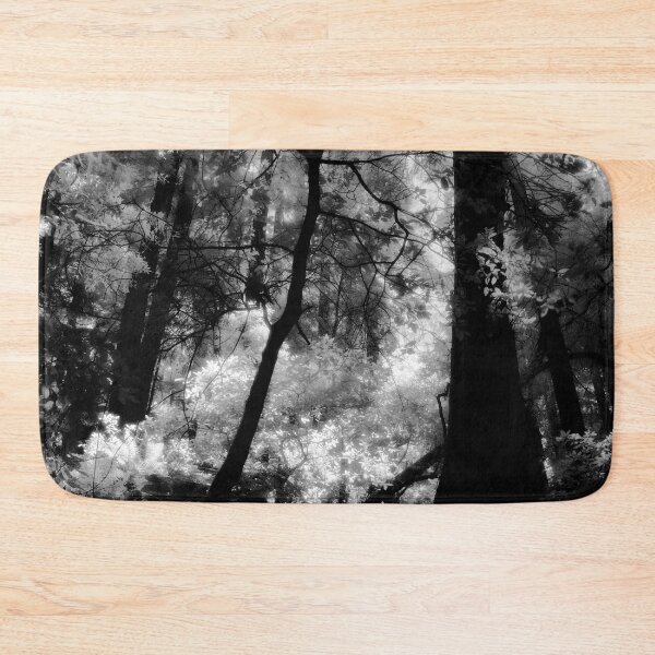 Item preview, Hillside Trail, Muir Woods National Monument  designed and sold by Rodney Johnson.