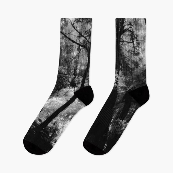 Item preview, Hillside Trail, Muir Woods National Monument  designed and sold by Rodney Johnson.