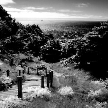 Artwork thumbnail, Land's End - San Francisco by Rodney Johnson