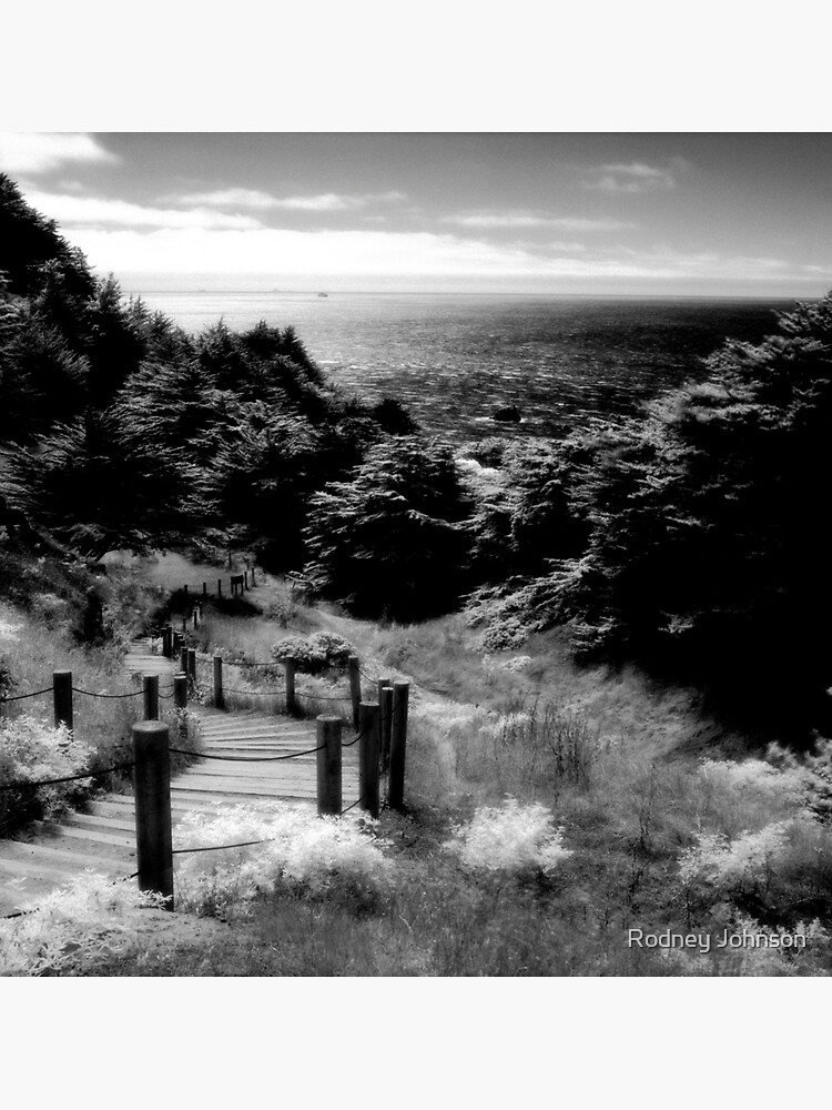 Thumbnail 3 of 3, Sticker, Land's End - San Francisco designed and sold by rodneyj46.