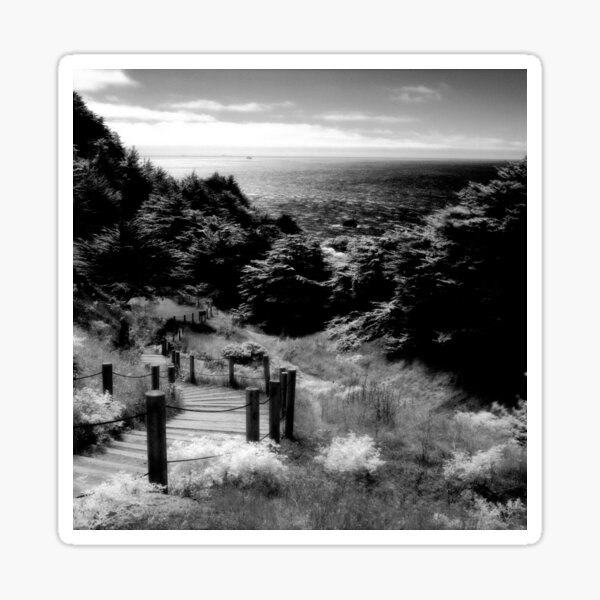 Item preview, Land's End - San Francisco  designed and sold by Rodney Johnson.