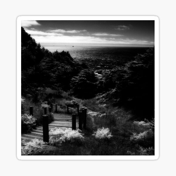 Land's End - San Francisco Sticker