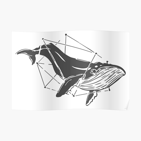 whale geometric drawing