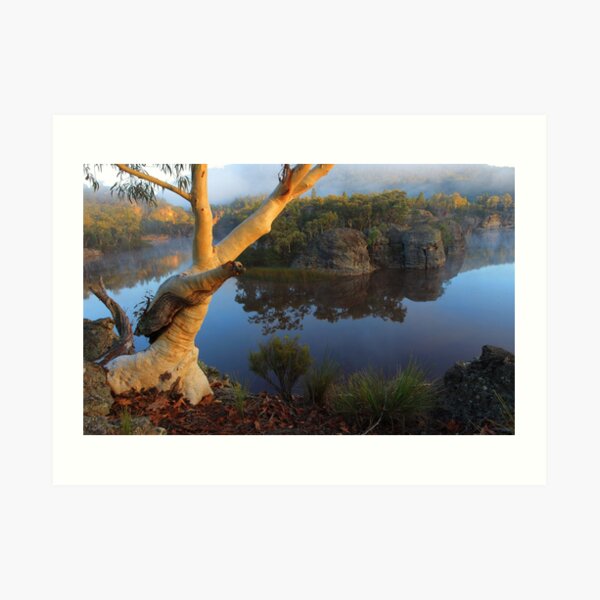 Dunns Swamp Art Print