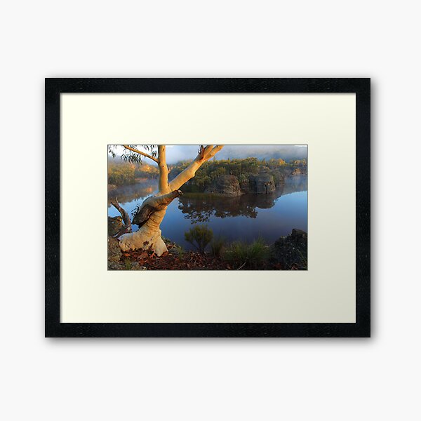 Dunns Swamp Framed Art Print