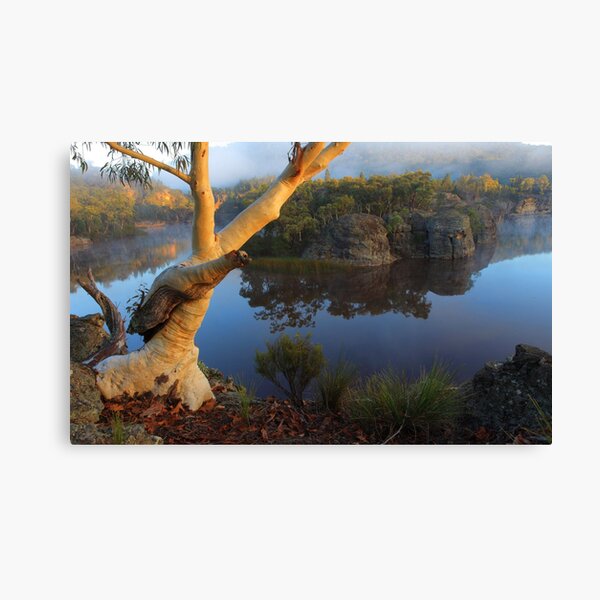 Dunns Swamp Canvas Print