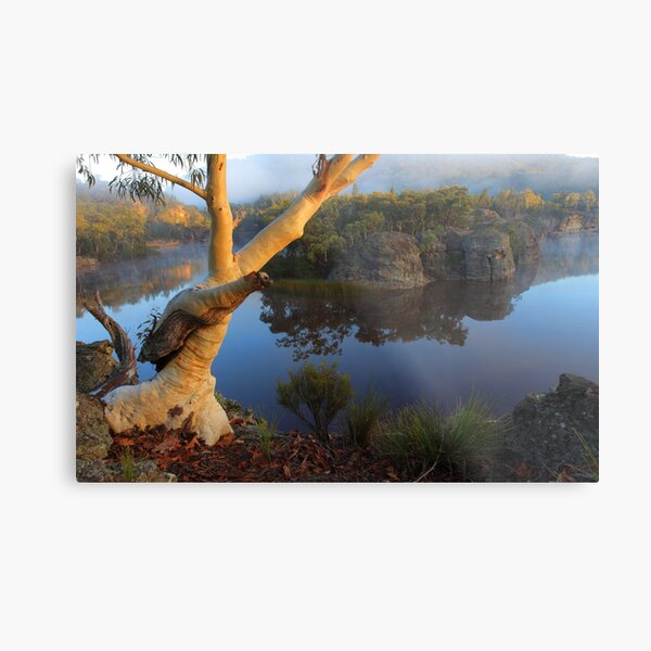 Dunns Swamp Metal Print