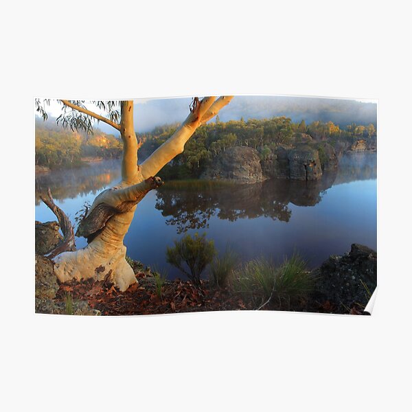 Dunns Swamp Poster