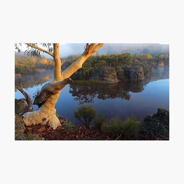 Dunns Swamp Photographic Print