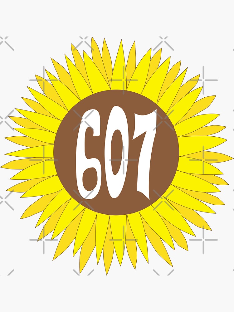Everything You Need to Know About the 607 Area Code: Locations, History, and More!
