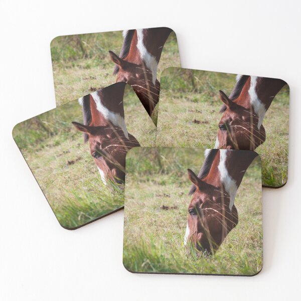 Item preview, Skewbald horse grazing designed and sold by LindaCooke.