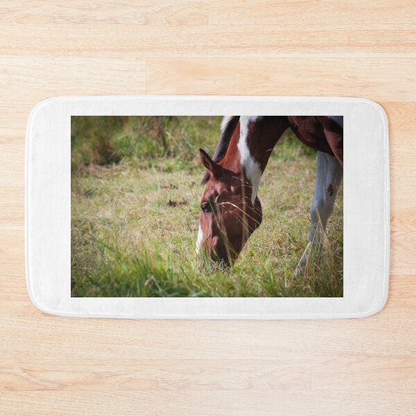 Item preview, Skewbald horse grazing designed and sold by LindaCooke.