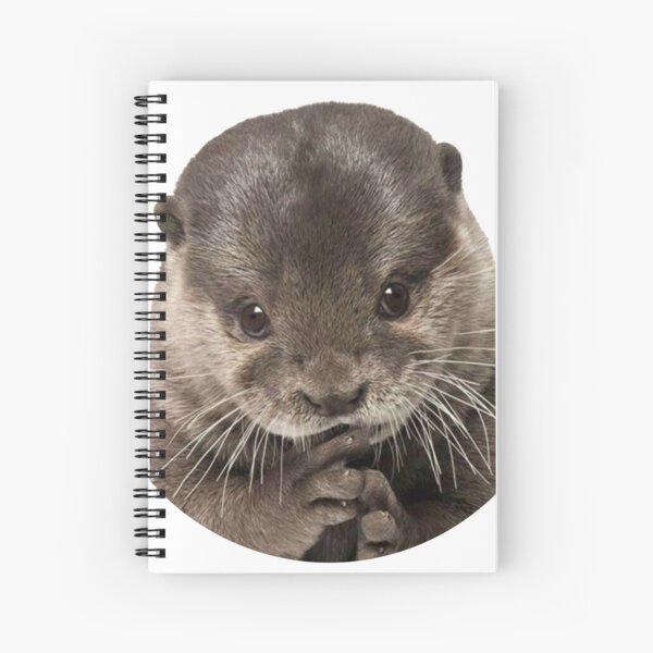 love otters canvas women's classics