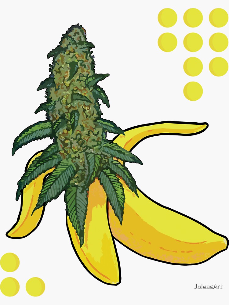 "Banana Kush" Sticker for Sale by JoleasArt Redbubble