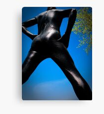 Black Snakeskin Zentai in the Field 2-4 Canvas Print