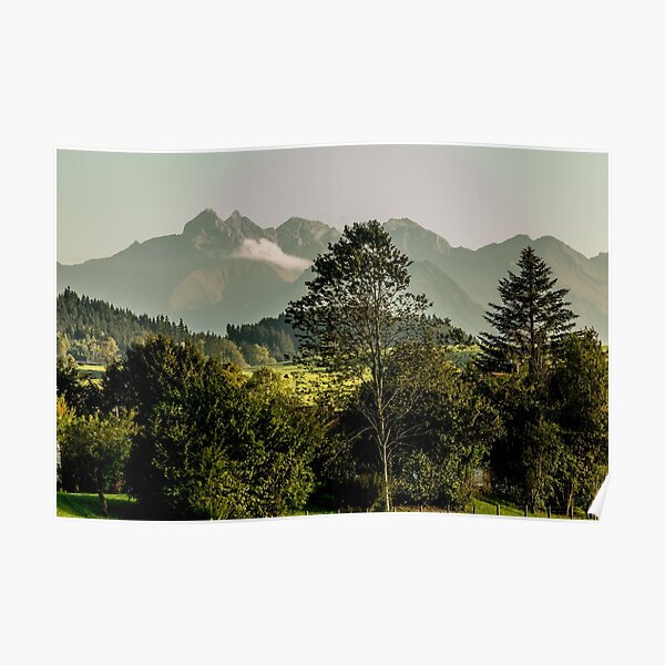 Nature Poster