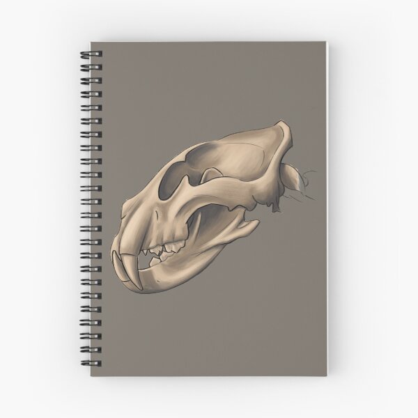 Item preview, Anatomically correct adult african lion skull designed and sold by TessaGeniets.