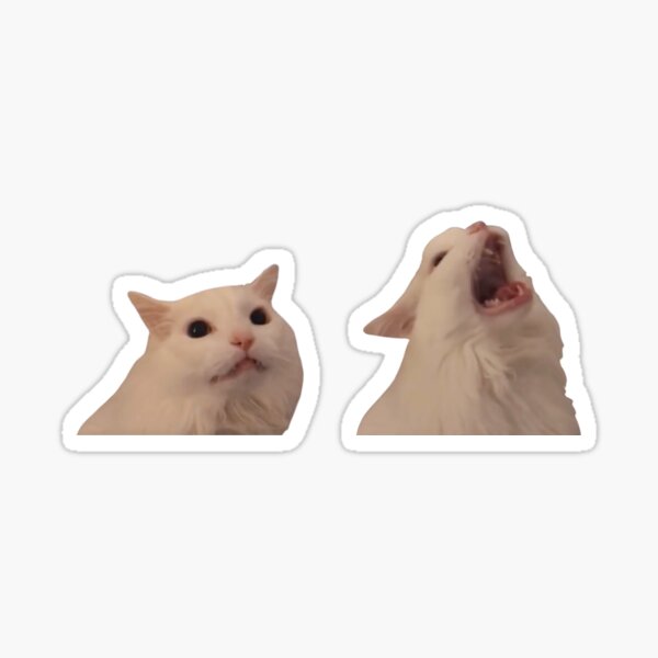 Yelling Cat Stickers for Sale