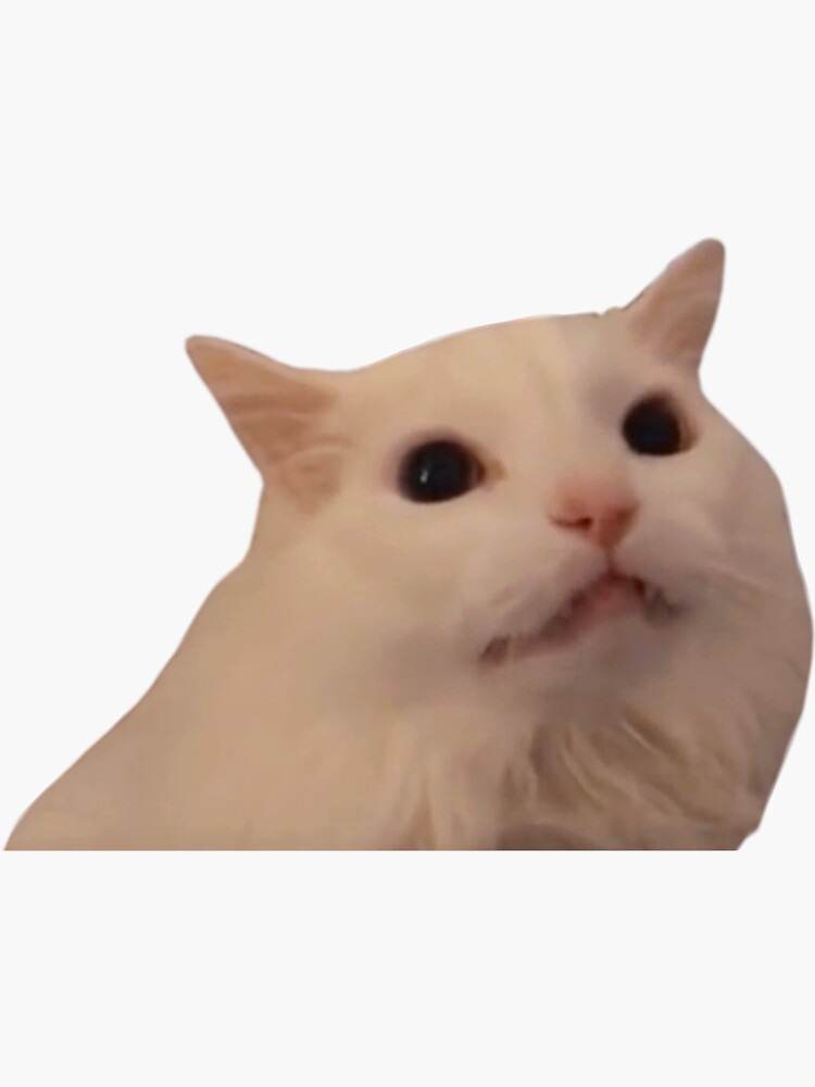 "White Cat Meowing Meme" Sticker for Sale by Goath Redbubble