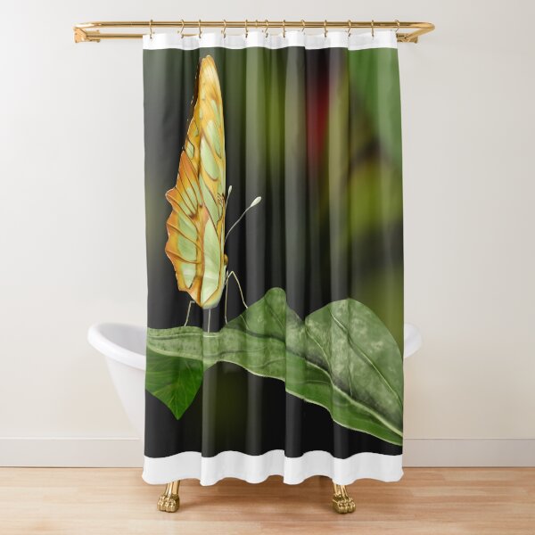 Malachite butterfly on a leaf Shower Curtain