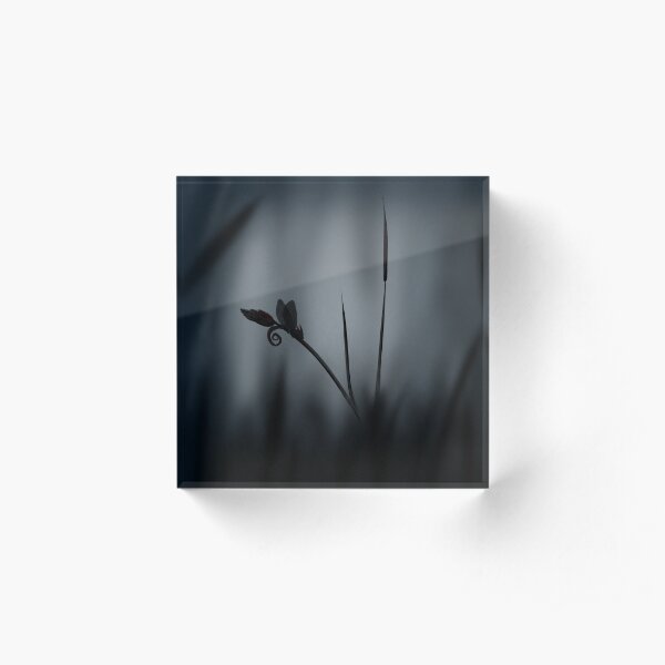 Enchanted morning dragonfly Acrylic Block
