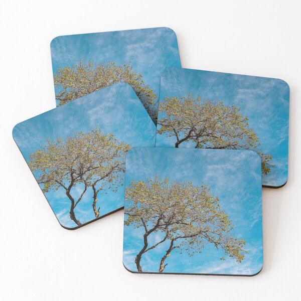 Item preview, Tree - Photography Landscape designed and sold by anafrancisconi.